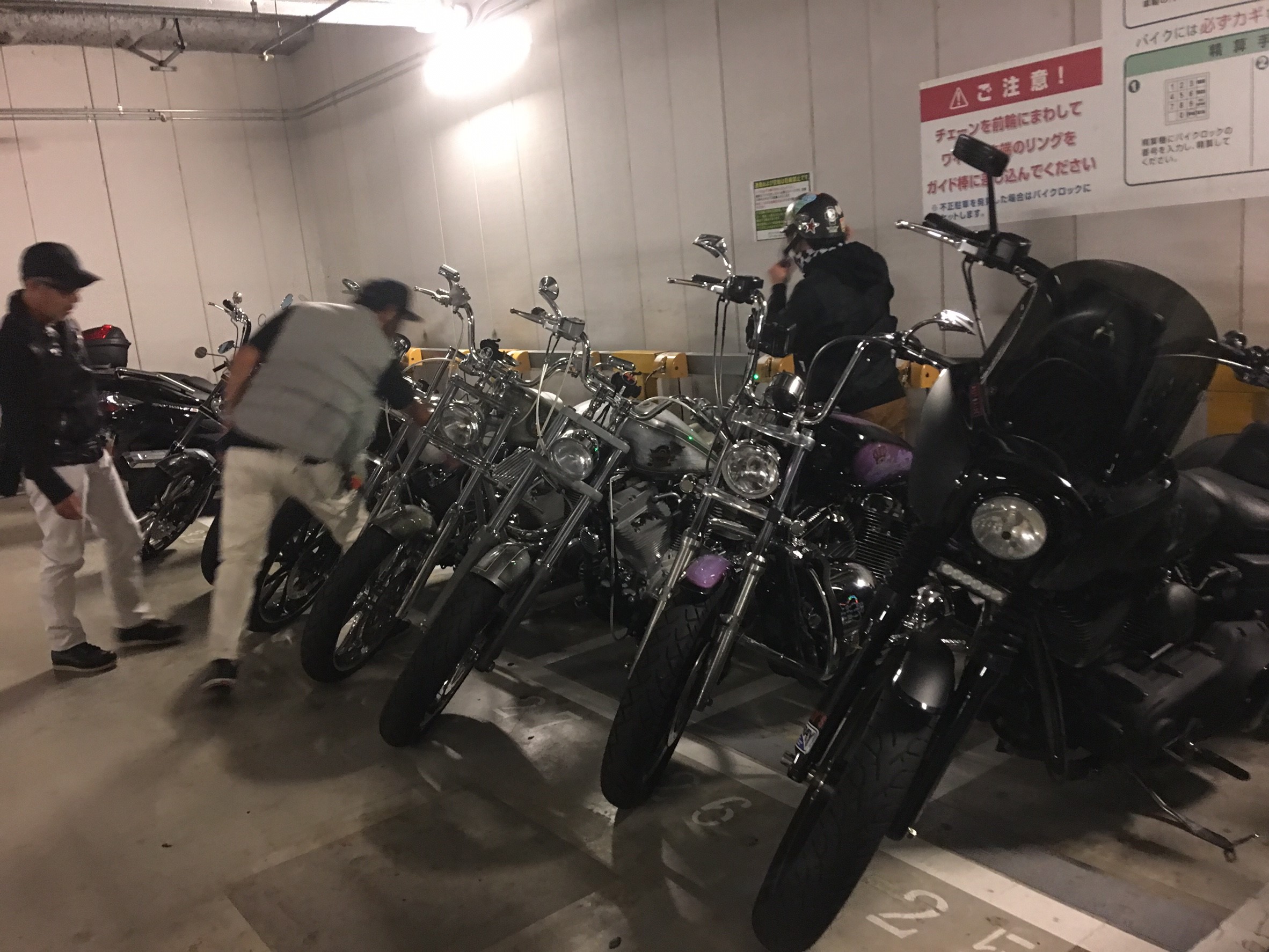 イメージ 7