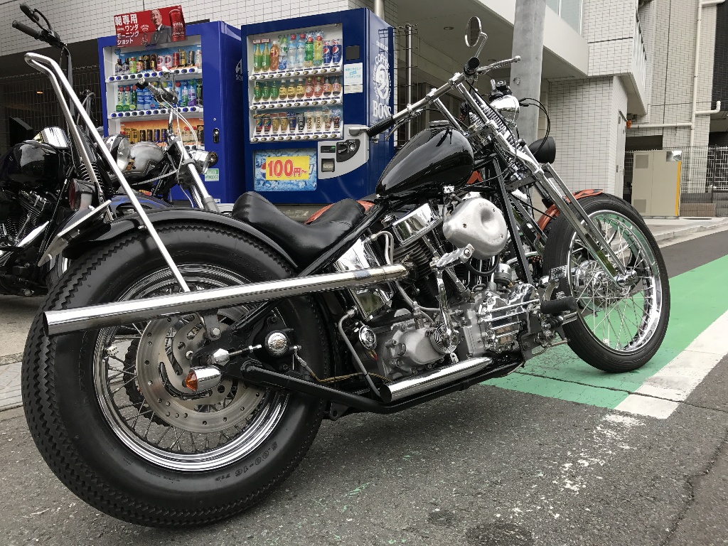 イメージ 7