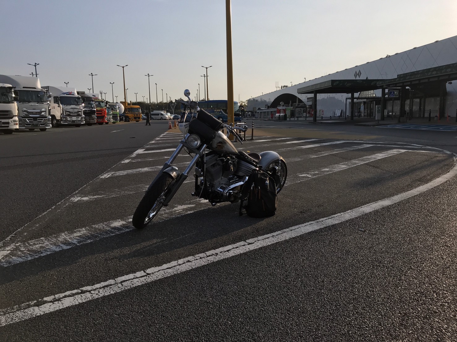 イメージ 3