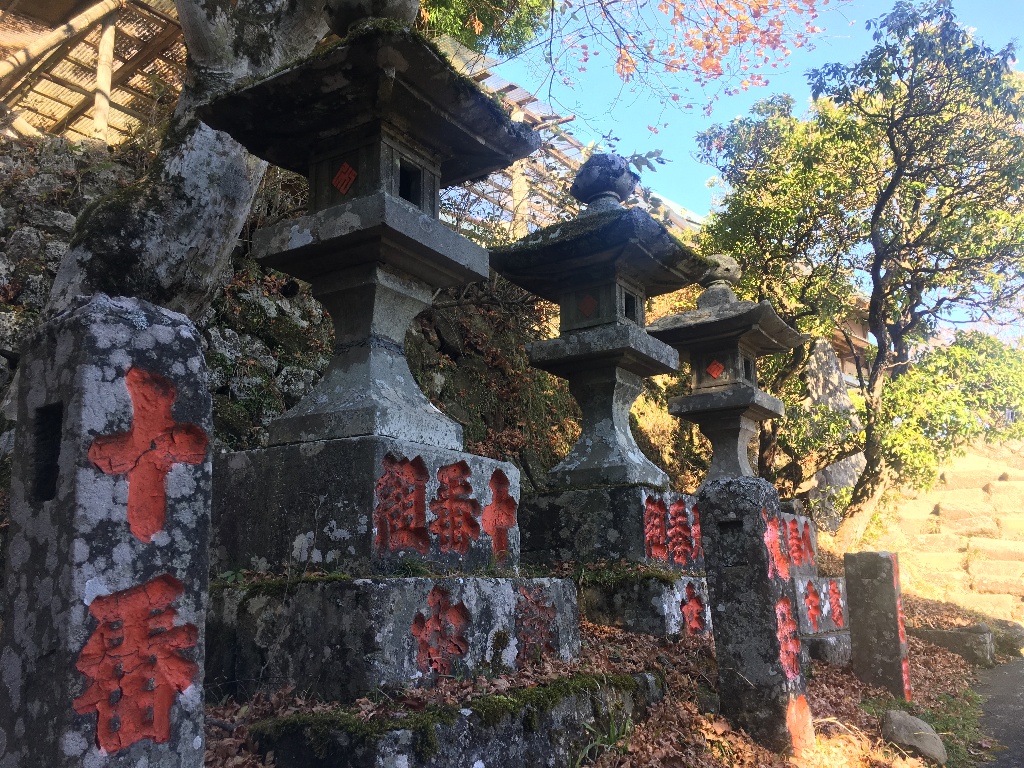 イメージ 5