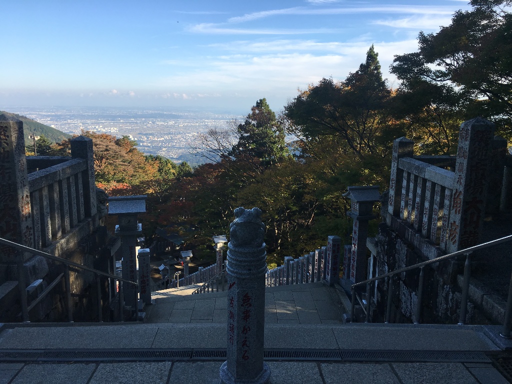 イメージ 6
