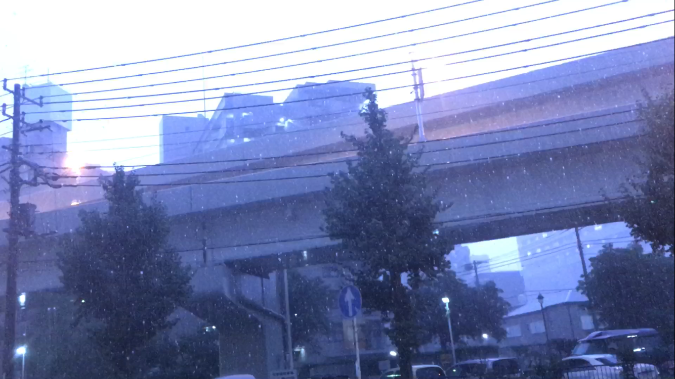 イメージ 6